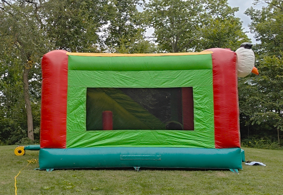 Angry Birds Combo - Image 3