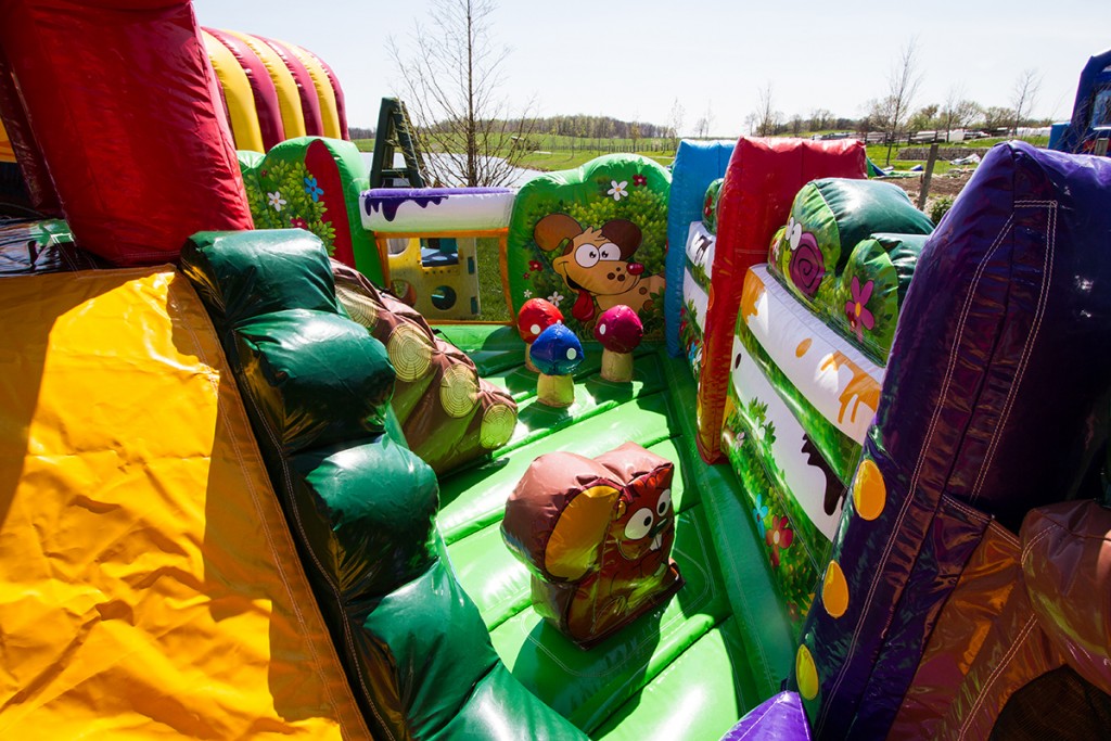 Backyard Toddler Air Bounce Inflatables & Party Rentals in Hamilton