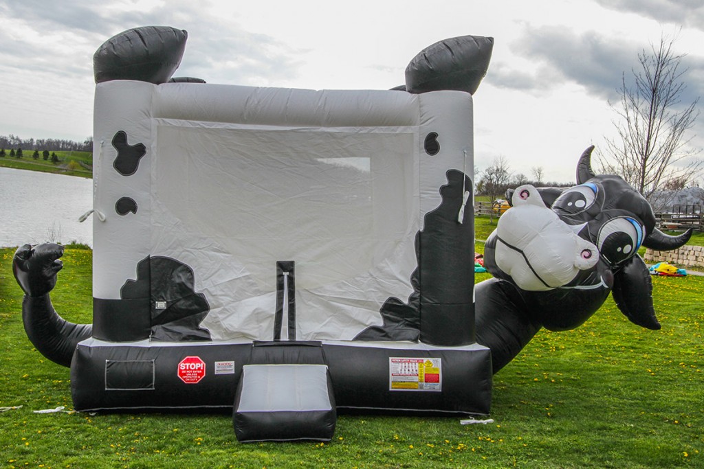 drink cart cow drink cart cow