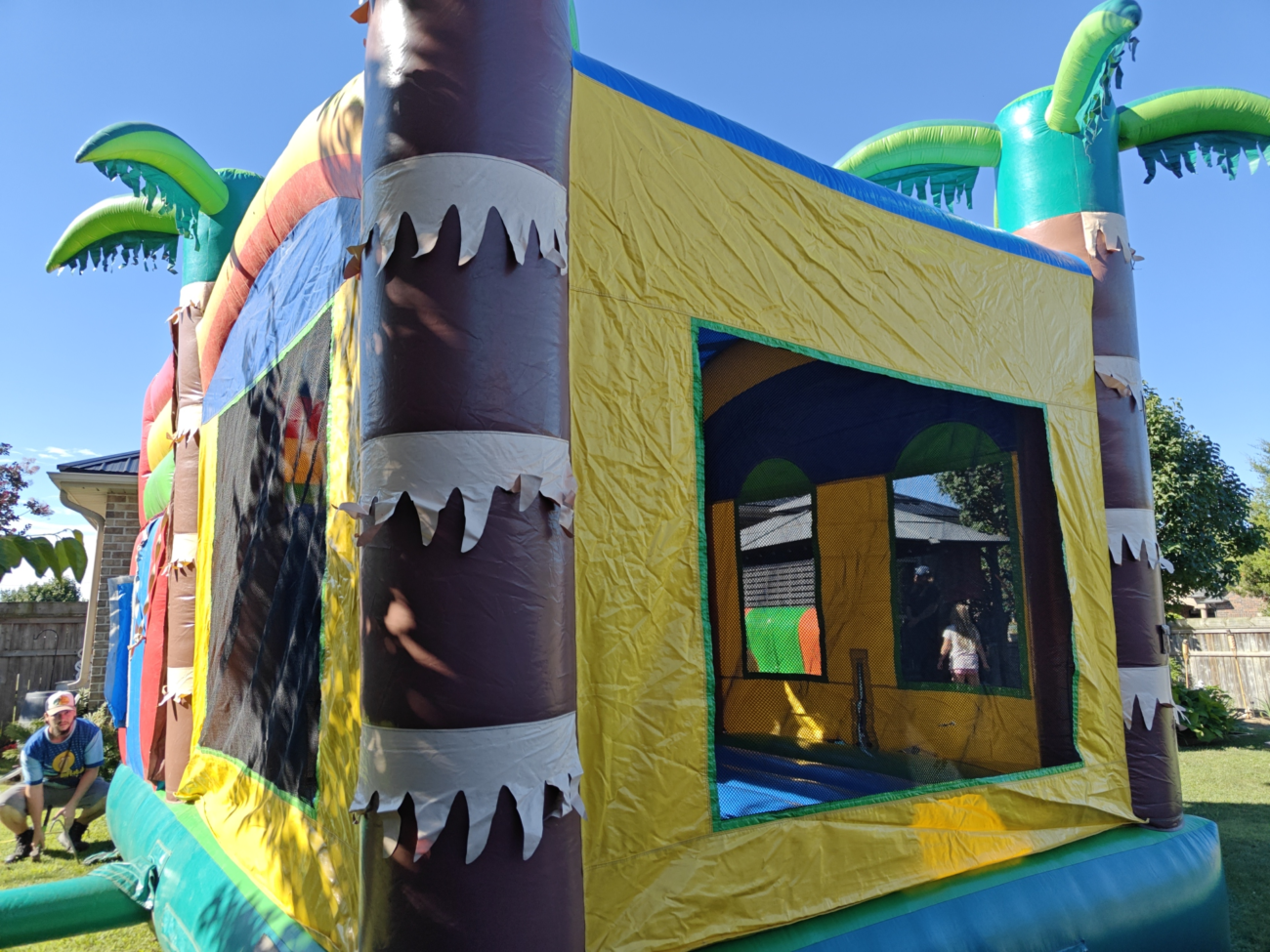 Palm Tree Combo - Image 4