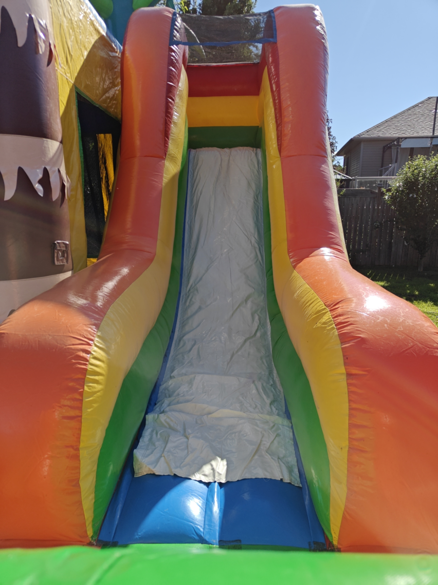 Palm Tree Combo - Image 3