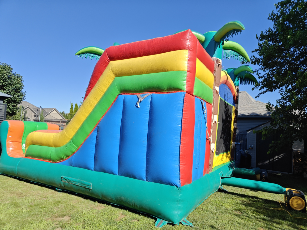 Palm Tree Combo - Image 5