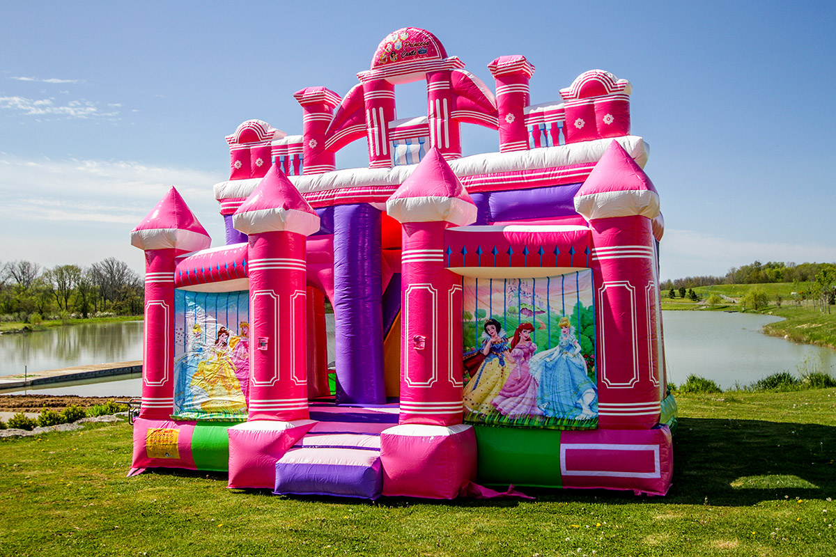 Princess 3 Princess Flower Castle Combo Air Bounce Inflatables And Party Rentals In Hamilton