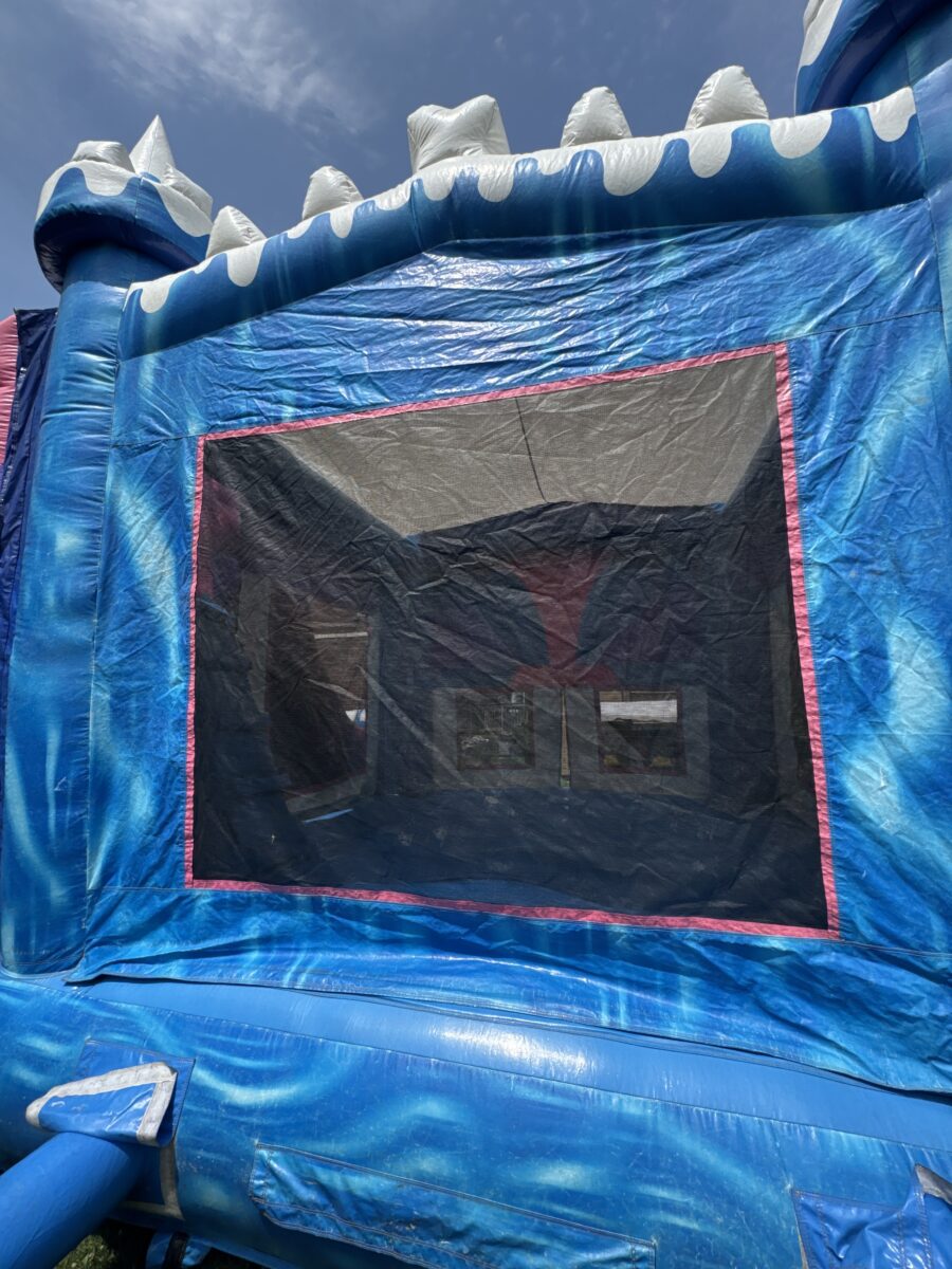 Princess 7-Ice Princess Combo - Image 3