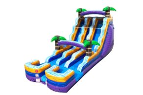 18' Purple Twin WET Slide
