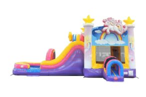 Unicorn Party DRY Combo