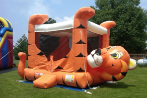 Tiger Bouncer