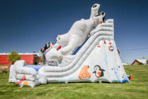 Polar Bear Slide