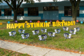Skunks Lawn Sign
