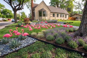 Pink Flamingos Lawn Ornament